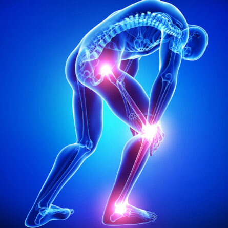 Orthopedics
