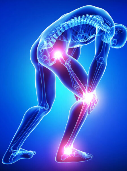 Orthopedics Orthopedics